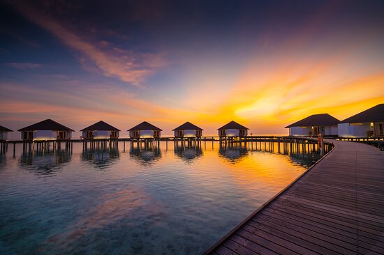 water-bungalow