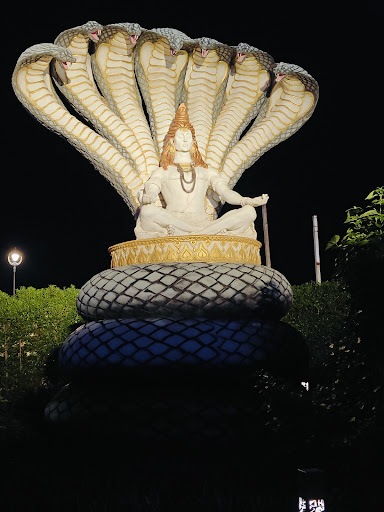 Photo from customer review