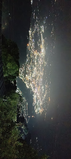 Photo from customer review