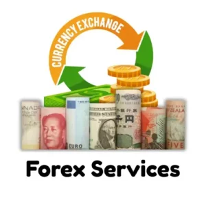 Forex & Money Exchange | dishncy holidays
